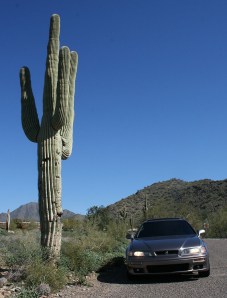 acura_legend_saguaro_cactus