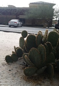 cactus_acura_ilx