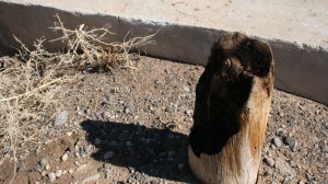 charred_dewey_bridge_remains