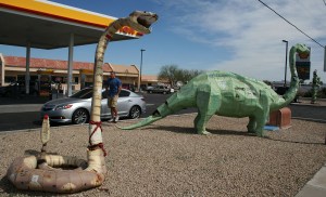 snake_dinosaur_gila_bend_acura_ilx