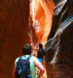 buckskin_rustin_cathy