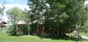 hells_backbone_grille