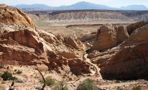 switchbacks_on_burr_trail_utah