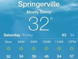 weather_springerville