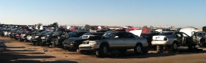 hondas_in_junkyard