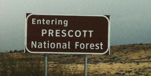 prescott_national_forest