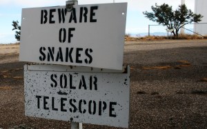 snake_signs