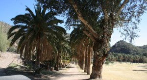 castle_hot_springs_driveway