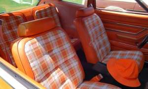 Bobcat - Interior