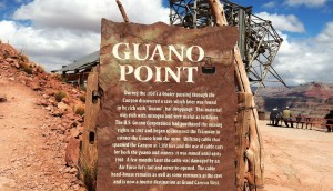guano_point_sign