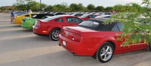 mustangs2
