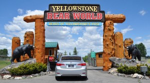 bear_world_entrance