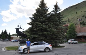 tyson_elk_statue