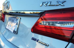 rlx_back