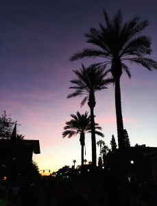palms