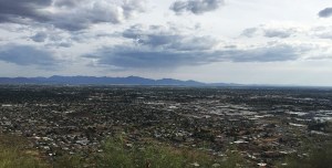 phx_view
