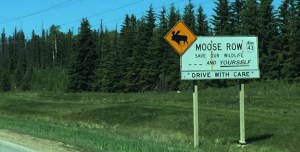 moose_row