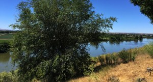 welcome_center_view_idaho